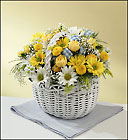 New Baby Boy Bouquet
