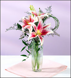 Simple Thanks- Davis Floral Clayton Indiana from Davis Floral
