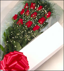 One Dozen Roses Boxed Davis Floral Clayton Indiana from Davis Floral