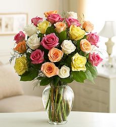 Two Dozen Premium <BR>Long Stem Assorted Roses Davis Floral Clayton Indiana from Davis Floral