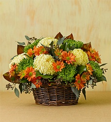 Fall Chrysanthemum<BR> Centerpiece  Davis Floral Clayton Indiana from Davis Floral
