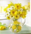 /images/BLM16405lg.jpg Make Lemonade⢠<br>in a Pitcher