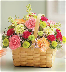 Bountiful Basket 