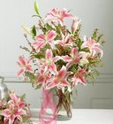 Sympathy flowers and plants for the home or office
