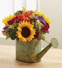 Davis Floral's Showers of Flowers