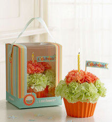 Cupcake in Bloom<BR>Green and Orange