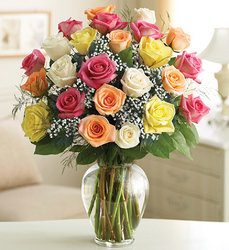 Two Dozen Multicolored Roses <br>for Sympathy Davis Floral Clayton Indiana from Davis Floral