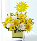 It's Your Sunny Day