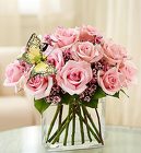 Modern Roses<BR>One Dozen Pink