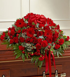 Red Mixed <BR> Casket Cover Davis Floral Clayton Indiana from Davis Floral