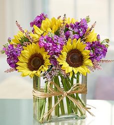 Modern Enchantment<br> for Spring