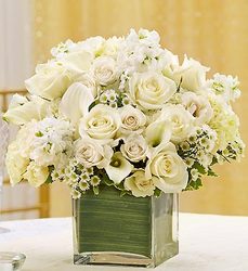 All White Centerpiece Package Davis Floral Clayton Indiana from Davis Floral
