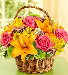 Fields of Europe<br> Willow Basket for Sympathy Davis Floral Clayton Indiana from Davis Floral