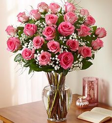 Two Dozen Premium <br> Long Stem Pink Roses Davis Floral Clayton Indiana from Davis Floral