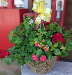 12" Premium Combo<br>Hanging Basket Davis Floral Clayton Indiana from Davis Floral