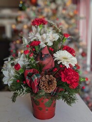 When A Cardinal <br> Is Near Davis Floral Clayton Indiana from Davis Floral