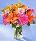 Blooming Brilliance Bouquet