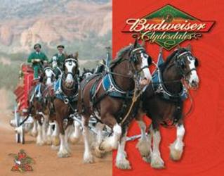 Budweiser Clydesdale <br> Horses tin sign Davis Floral Clayton Indiana from Davis Floral