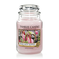 Pink Lady Slipper Davis Floral Clayton Indiana from Davis Floral
