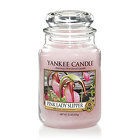 Pink Lady Slipper