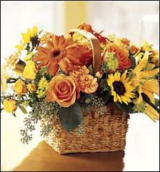 Homespun Basket