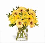 Morning Joy Bouquet