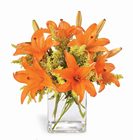 Tigress Bouquet
