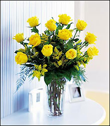 A Dozen Yellow Roses