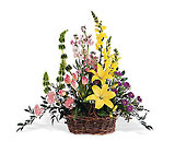 Spring Splendor