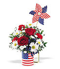 /images/telwhite03/tf70-1OLDlg.jpg Spirit of America