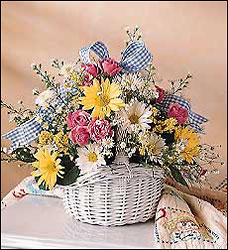 New Baby Bouquet Davis Floral Clayton Indiana from Davis Floral