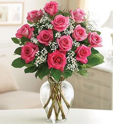Premium Long Stem Pink Roses<br> 1, 3, 6, or 12 Vased Davis Floral Clayton Indiana from Davis Floral