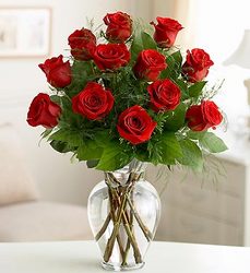 Rose Elegance <br>Premium Dozen <br> Long Stem Roses 