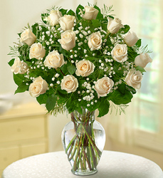 Rose Elegance Premium <BR>Long Stem White Roses Davis Floral Clayton Indiana from Davis Floral