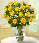  Premium Long Stem Yellow Roses <br> 1, 3,6, 12, or 18 Vased Davis Floral Clayton Indiana from Davis Floral