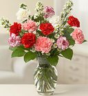 One Dozen <br>Carnations Vase  Davis Floral Clayton Indiana from Davis Floral