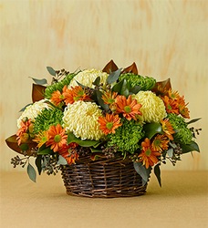Fall Chrysanthemum<BR> Centerpiece  Davis Floral Clayton Indiana from Davis Floral