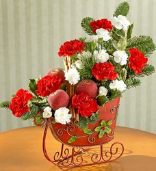 Traditional Tidings Holiday Sleigh  Davis Floral Clayton Indiana from Davis Floral
