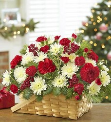 Basket of Christmas Davis Floral Clayton Indiana from Davis Floral