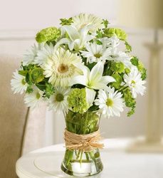 Serene Green Davis Floral Clayton Indiana from Davis Floral