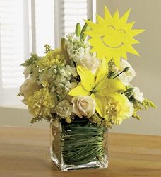 It's Your Sunny Day Davis Floral Clayton Indiana from Davis Floral