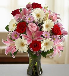 Elegant Wishes Davis Floral Clayton Indiana from Davis Floral