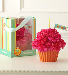 Cupcake in Bloom <br> in Hot Pink Davis Floral Clayton Indiana from Davis Floral