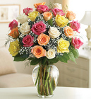 Two Dozen Multicolored Roses <br>for Sympathy Davis Floral Clayton Indiana from Davis Floral