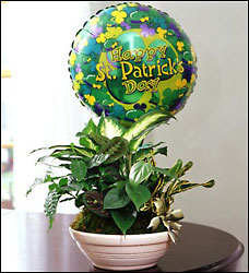 St. Patrick's Day Dish Garden Davis Floral Clayton Indiana from Davis Floral