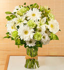 Serene Green Bouquet<br> for Sympathy Davis Floral Clayton Indiana from Davis Floral