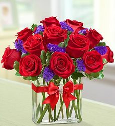 Modern Roses <br> One Dozen Red Davis Floral Clayton Indiana from Davis Floral