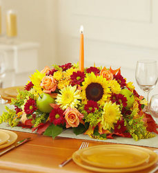 Autumn Celebration <br> Centerpiece Davis Floral Clayton Indiana from Davis Floral