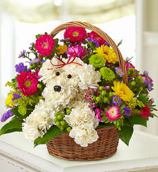 a-DOG-able™ <BR>in a Basket Davis Floral Clayton Indiana from Davis Floral