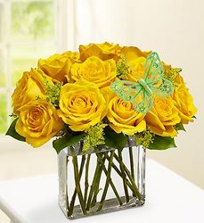 One Dozen <BR> Modern Roses Davis Floral Clayton Indiana from Davis Floral